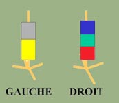 Busard des roseaux: Bagues color
